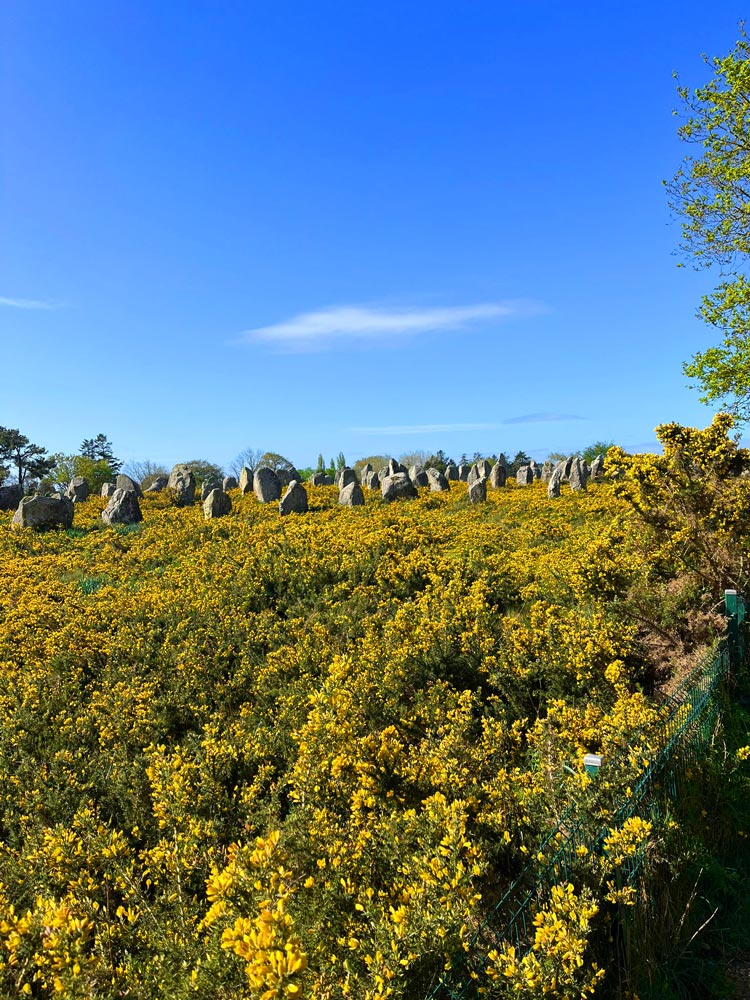 Menhirs de Carnac avec un ciel bleu – Baie de Quiberon