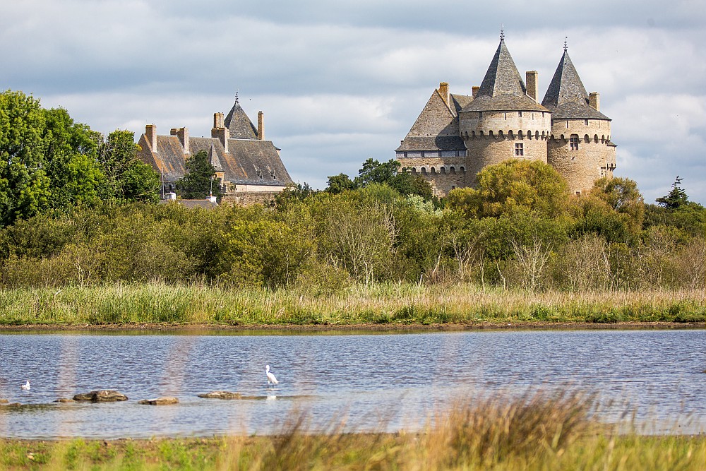 Château de Suscinio - Golfe du Morbihan