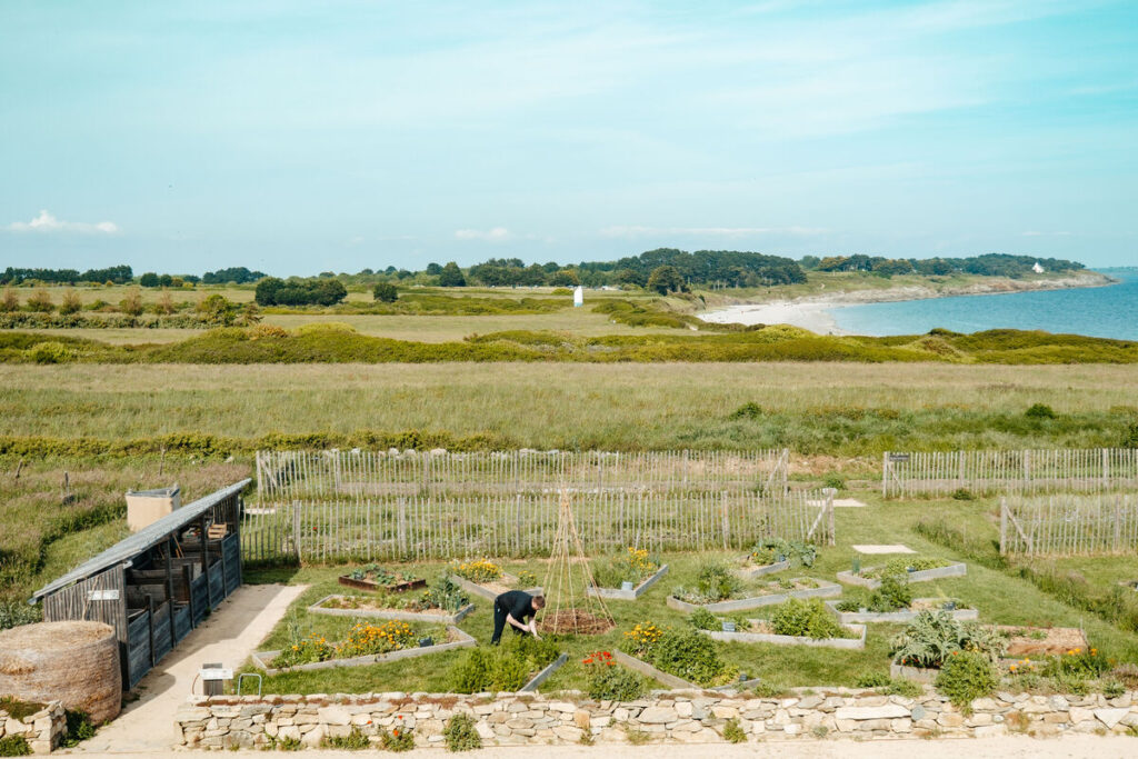 Jardin en bord de mer à Névez - Finistère Sud